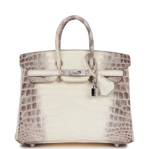 The $500,000 dollar handbag